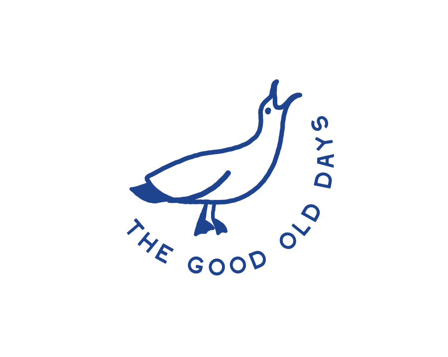 Seagull illustration — The Good Old Days